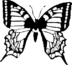 Butterfly 285