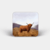Country Images Personalised Custom Board Coaster Coasters Scotland Highland Collection Highland Cow Hairy Coo Gift Gifts