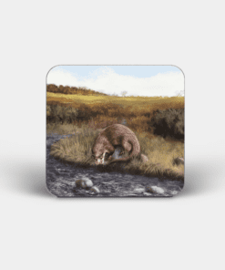 Country Images Personalised Custom Board Coaster Coasters Scotland Highland Collection Otter Otters png