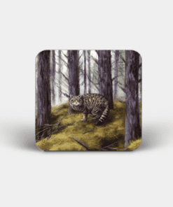 Country Images Personalised Custom Board Coaster Coasters Scotland Highland Collection Wildcat Wild Cat Animals Wildlife Gift Gifts