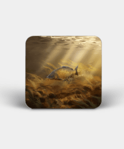 Country Images Personalised Custom Board Coaster Coasters Scotland Highland Common Carp Angling Fishing Gift Gifts
