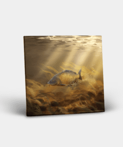 Country Images Personalised Custom Ceramic Tile Tiles Scotland Highland Collection Common Carp Angling Fishing Gift Gifts