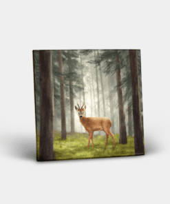 Country Images Personalised Custom Ceramic Tile Tiles Scotland Highland Collection Deer Roebuck Buck Roe Stag Nature Wildlife Gift Gifts
