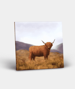 Country Images Personalised Custom Ceramic Tile Tiles Scotland Highland Collection Highland Cow Hairy Coo Nature Wildlife Gift Gifts