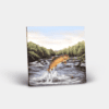 Country Images Personalised Custom Ceramic Tile Tiles Scotland Highland Collection Leaping Brown Trout Angling Fishing Gift Gifts 2