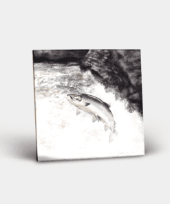 Country Images Personalised Custom Ceramic Tile Tiles Scotland Highland Collection Leaping Salmon Fish Fisherman Fishing Angling Nature Wildlife Gift Gifts