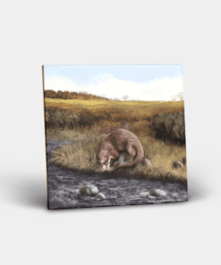 Country Images Personalised Custom Ceramic Tile Tiles Scotland Highland Collection Otter Otters Nature Wildlife Gift Gifts