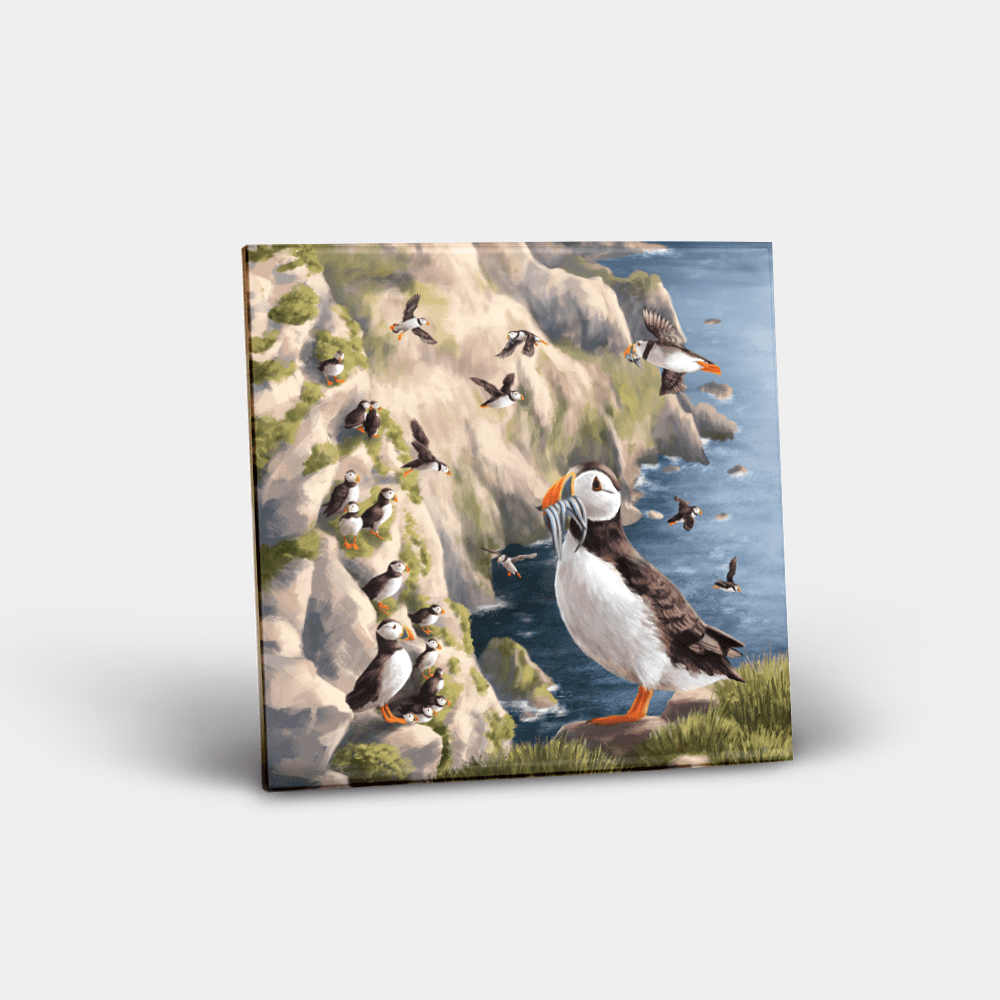 Country Images Personalised Custom Ceramic Tile Tiles Scotland Highland Collection Puffin Puffins Sea Birds Nature Wildlife Gift Gifts