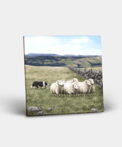Country Images Personalised Custom Ceramic Tile Tiles Scotland Highland Collection Sheep and Sheepdog Crofter Crofting Farm Nature Wildlife Gift Gifts