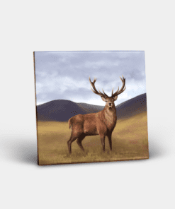 Country Images Personalised Custom Ceramic Tile Tiles Scotland Highland Collection Stag Deer Nature Wildlife Gift Gifts