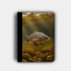 Country Images Personalised Custom Customised Flip iPad Cover Case Scotland Scottish Highlands Mirror Carp Angling Angler Fishing Gift Gifts 2
