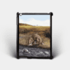 Country Images Personalised Custom Customised iPad Shell Cover Case Scotland Scottish Highlands Highland Otter Otters Gift Gifts 2