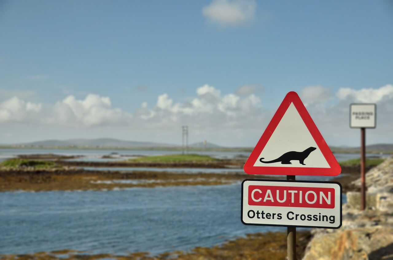 Country Images - Engraved Glasses & Printed Gifts from Scotland. About Us & The Otter