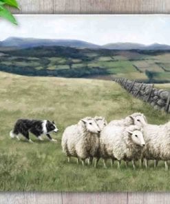 Highland Collection - Worktop Saver (Sheep & Sheepdog) Personalised Gift