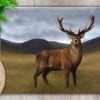 Highland Collection - Worktop Saver (Stag) Personalised Gift