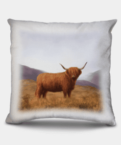 Country Images Personalised Highland Collection Scottish Highland Cow Cheap Linen Cushion Scotland UK 2