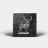 Country Images Scotland Custom Personalised Slate Coasters Highland Collection Engraved Scottish UK Stag Stags Deer Nature Wildlife Animals