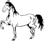 Engraved Horse 415