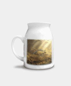 Country Images Personalised Printed Custom Milk Jugs Common Carp Angling Angler Fishing Gifts 2