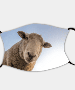 Country Images Personalised Custom Face Mask Masks Facemask Facemasks UK Scotland Gifts Curious Sheep Scottish