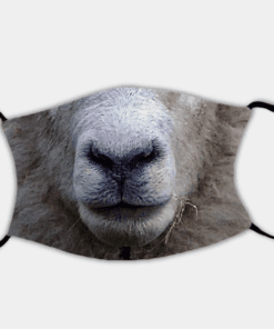 Country Images Personalised Custom Face Mask Masks Facemask Facemasks UK Scotland Gifts Sheep Scottish